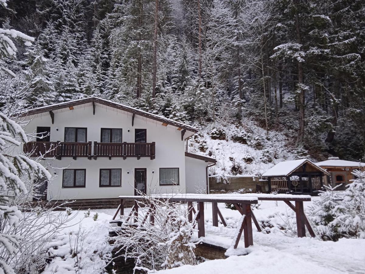 Mizhhirya  Cottage house מראה חיצוני תמונה