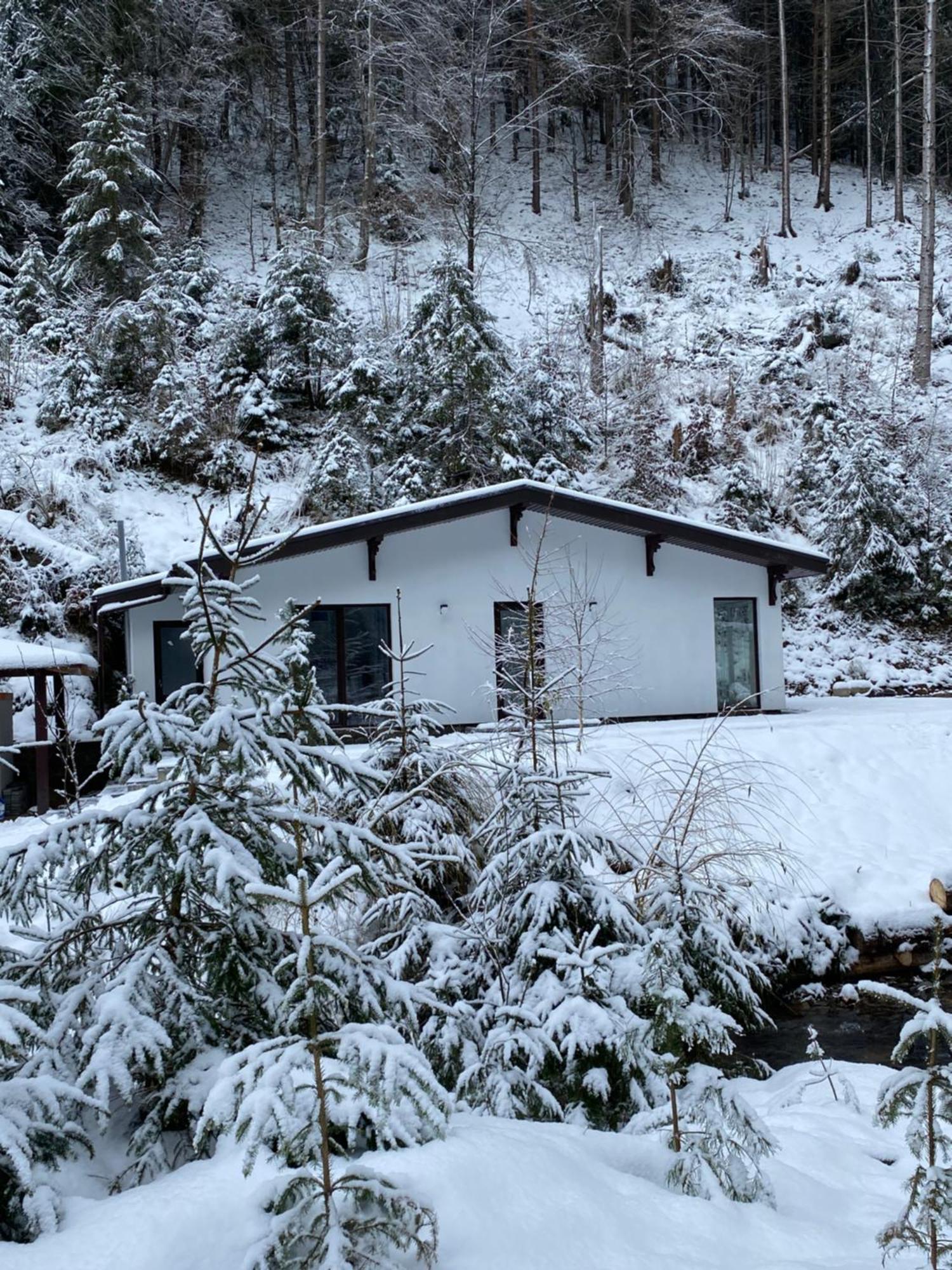 Mizhhirya  Cottage house מראה חיצוני תמונה